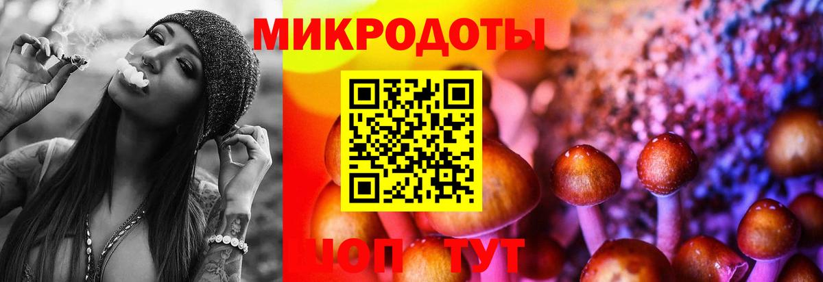 Галлюциногенные грибы Cubensis Ялта